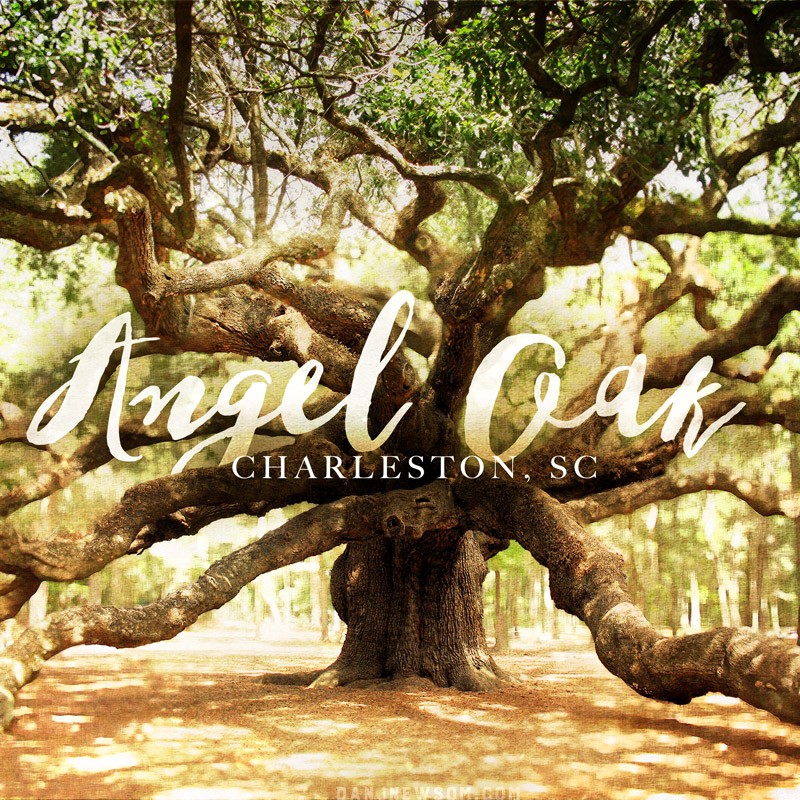 Angel Oak. Charleston, South Carolina