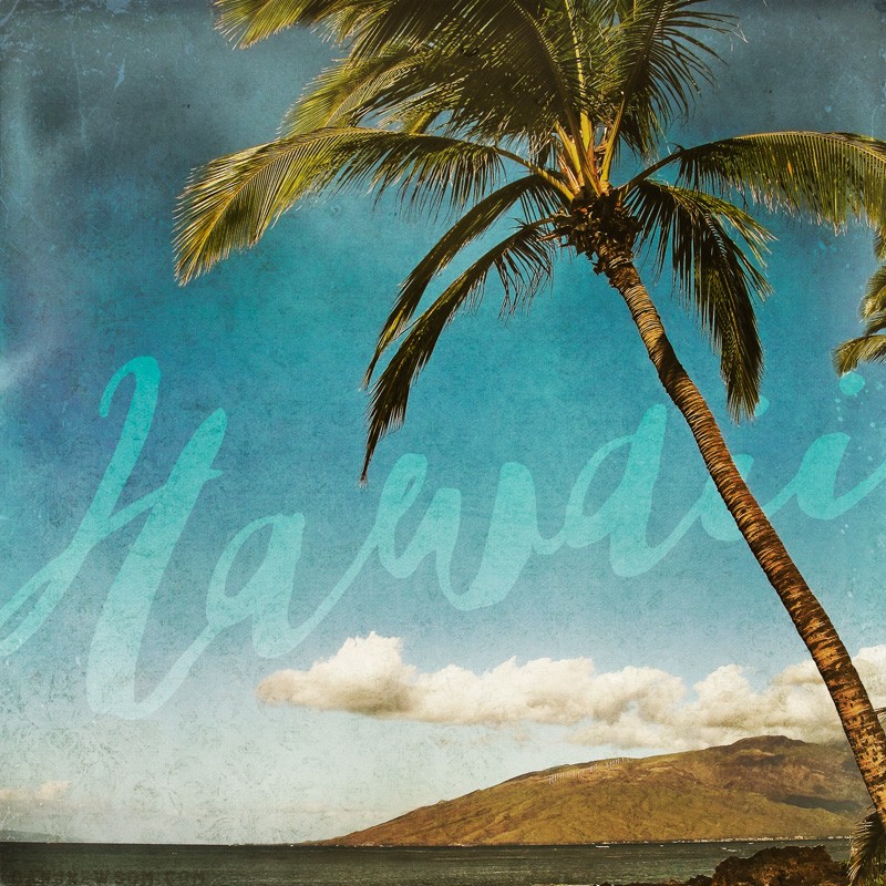 HAWAII_Tree_1423